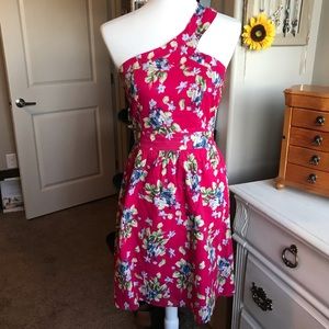 Beautiful Lined Floral Dress